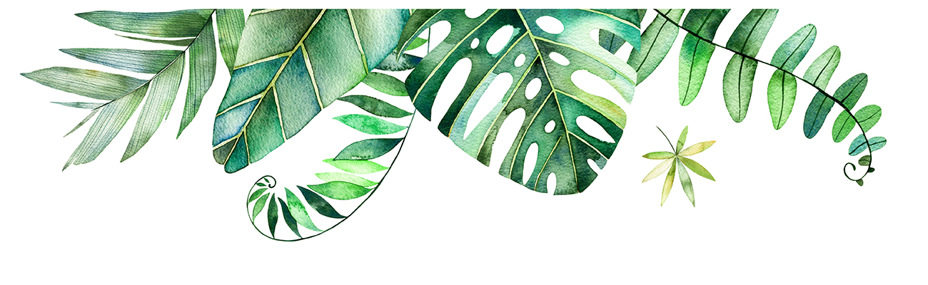 PAGE SEPARATOR OF LUSH FOLIAGE